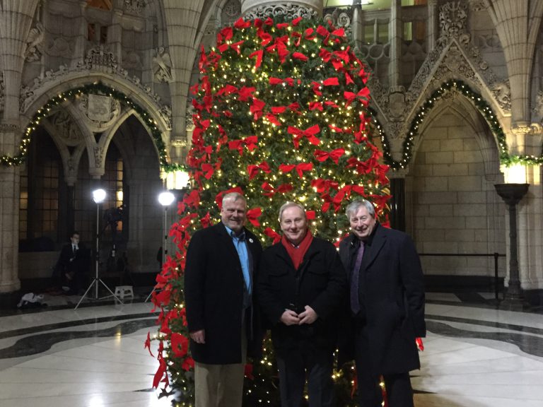 Mayor snaps photo of Parliament Hill Christmas tree ahead of renovations