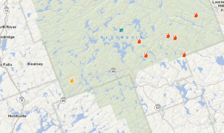 Forest fires being held in Algonquin Park