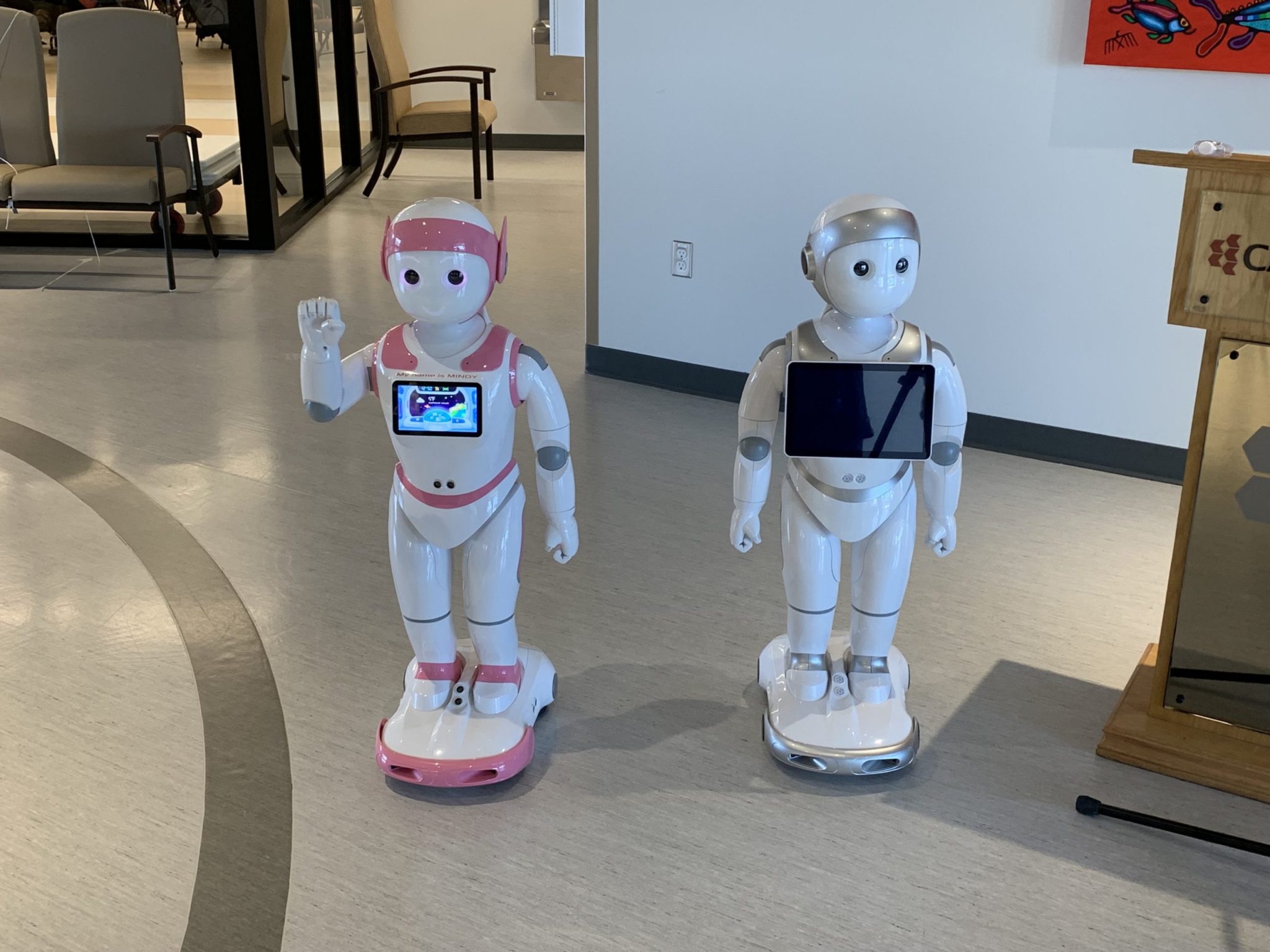 Companion robots interacting with local seniors My Parry Sound Now