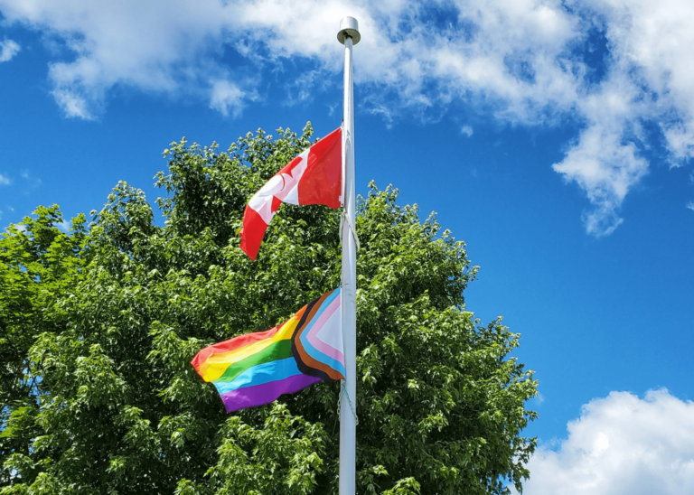 Parry Sound Pride hosting picnic at Waubuno Beach