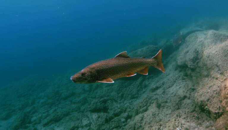 Great Lakes documentary to premiere at Stockey Centre August 10 